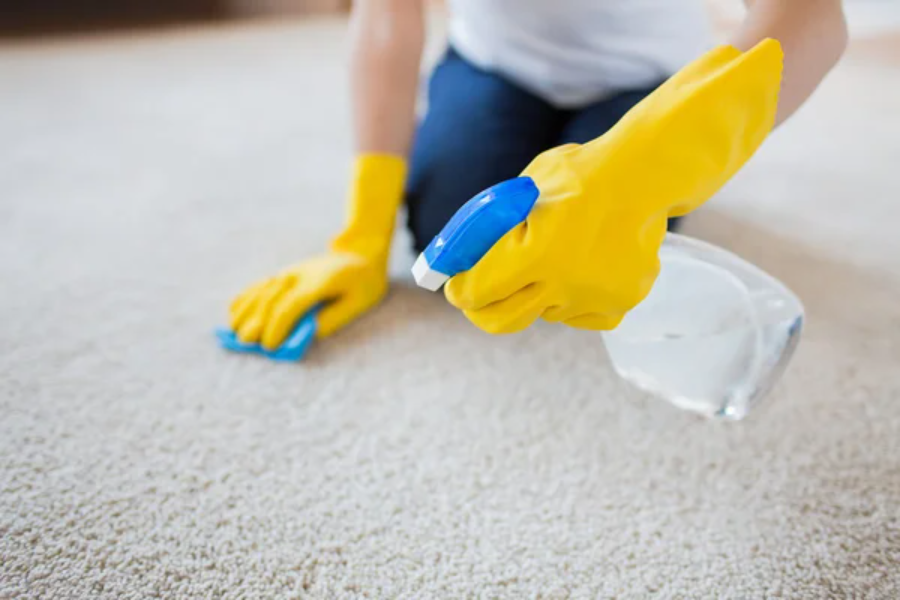 Stain and Odor Removal in Bedford